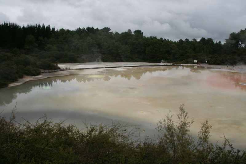 Nieuw-Zeeland 2011 - 0753